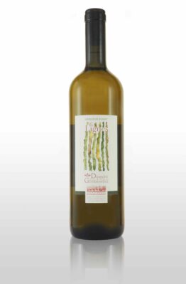 Domaine de Gourmandaz 6Lignes - Savagnin blanc