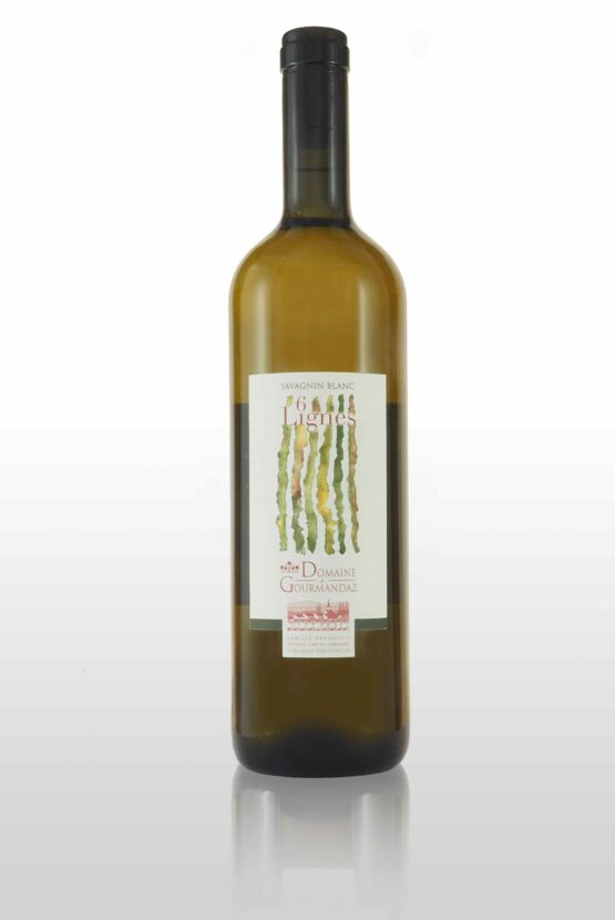 Domaine de Gourmandaz 6Lignes - Savagnin blanc